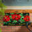 Peace On Earth Poinsettia Embossed Mat
