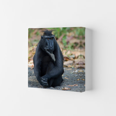Thinker 1 Piece Wall Art on Canvas