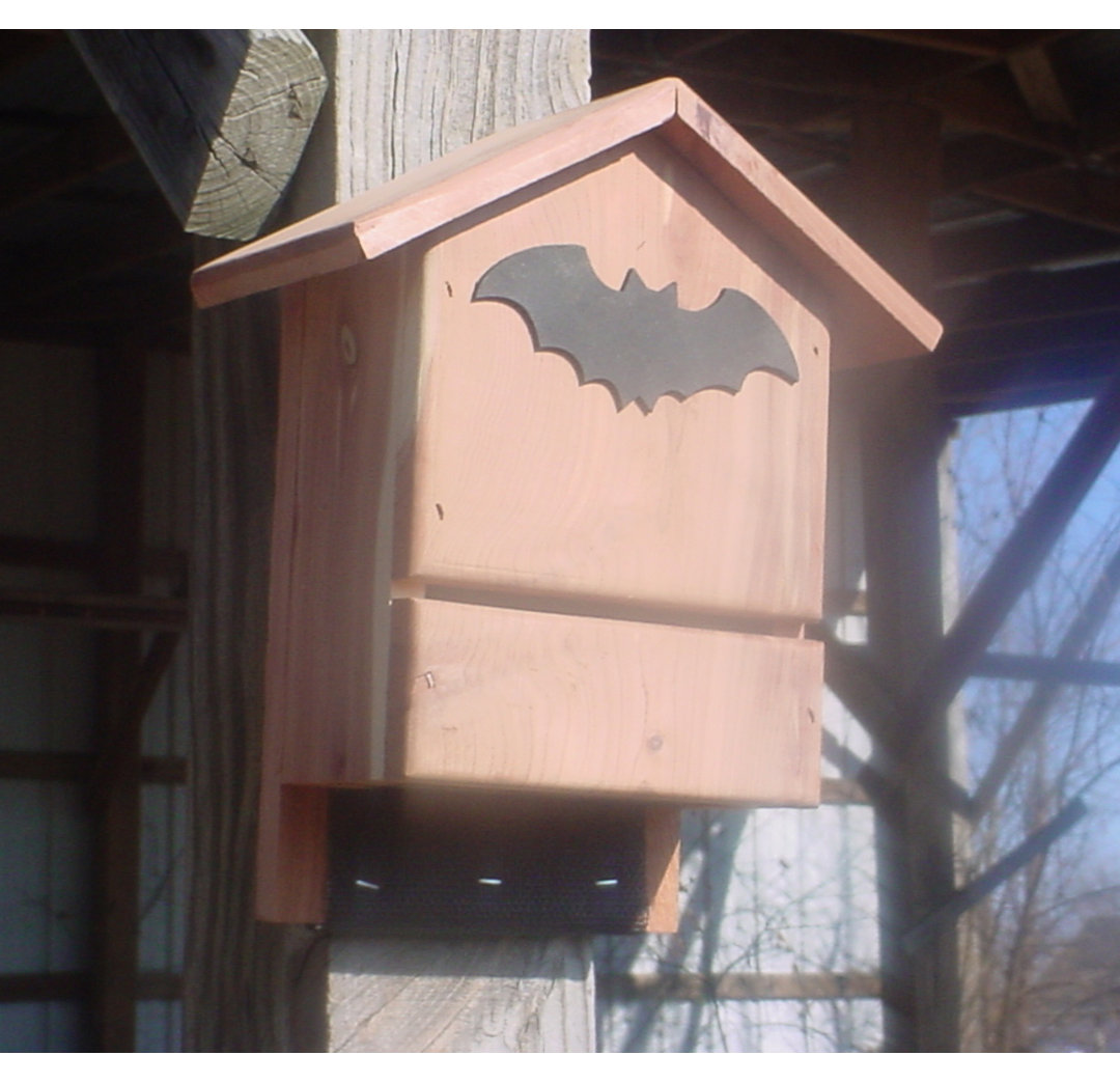 Pabon 13'' H x 11'' W x 5'' D Wall Water Resistant Bat House Millwood Pines