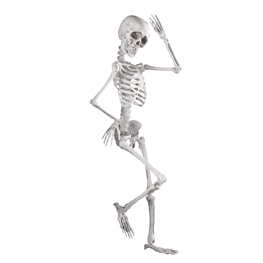 Skeletons