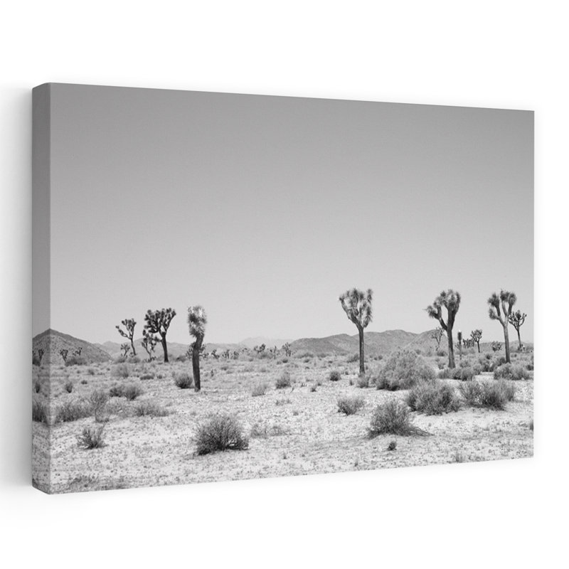 Art contemporain, paysage de cactus minimaliste moderne et minimaliste, H 24 po x l 36 po