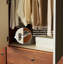 Simple  And Colour Blocked Wardrobe