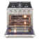 Pro-Style 30 in. 4.2 cu. ft. 4-Burner Freestanding Gas Range with Convection Oven