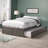 Concord Solid Wood Platform Bed with Footboard & Twin XL Trundle-126307753-96140405