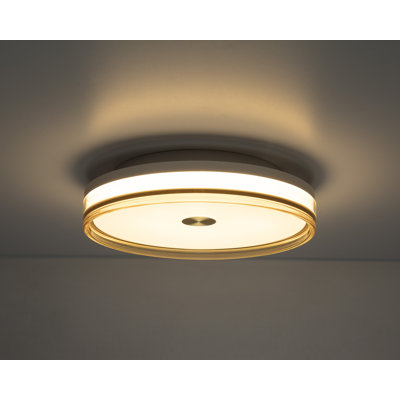 Fricis Acrylic, Plastic LED Flush Mount