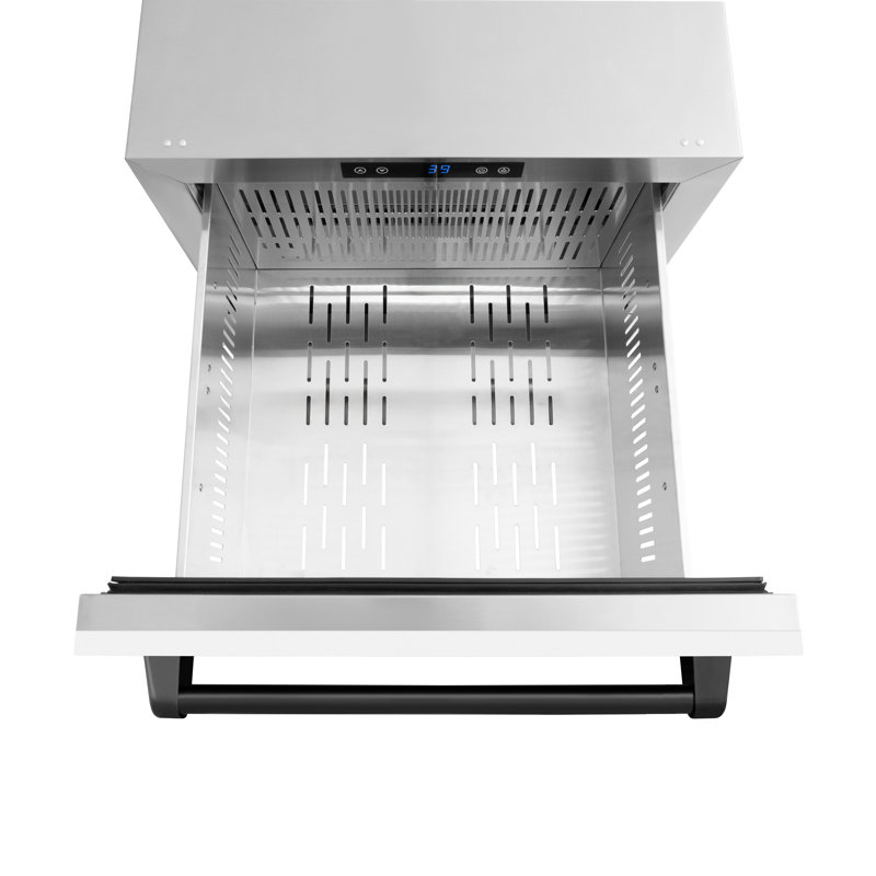 ZLINE Autograph Edition 24 in. Touchstone 168 Can Outdoor-Rated Dual Refrigerator Drawer with Doors and Handles