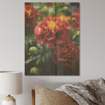 Red Marigold Medley - souci sur bois