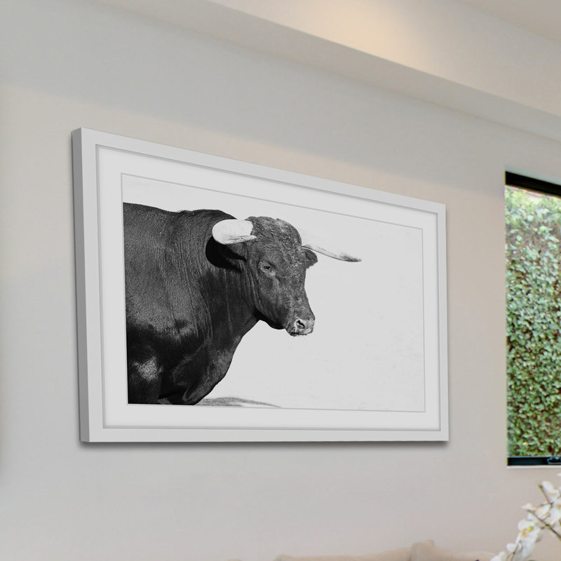 « corned animaux »-cadre photo, impression sur papier, H 12 po x l 18 po x P 1,5 po, Cadre blanc