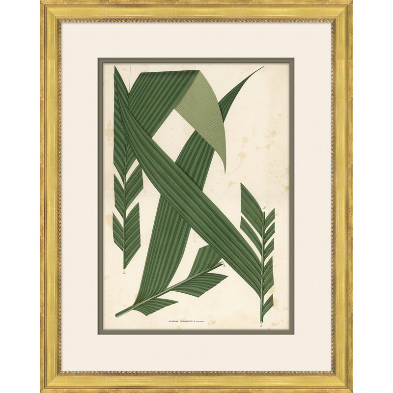 «Palm Leaves 5», peinture sur cadre