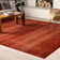 Franchester Indoor Rug