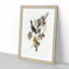 Broad Billed Flycatchers by Elizabeth Gould - Picture Frame Graphic Art Print-55512932-55512934