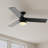 Edwidge 52'' Ceiling Fan with LED Lights-54748003