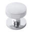 Parkview Brass Knob Backplate-532981237