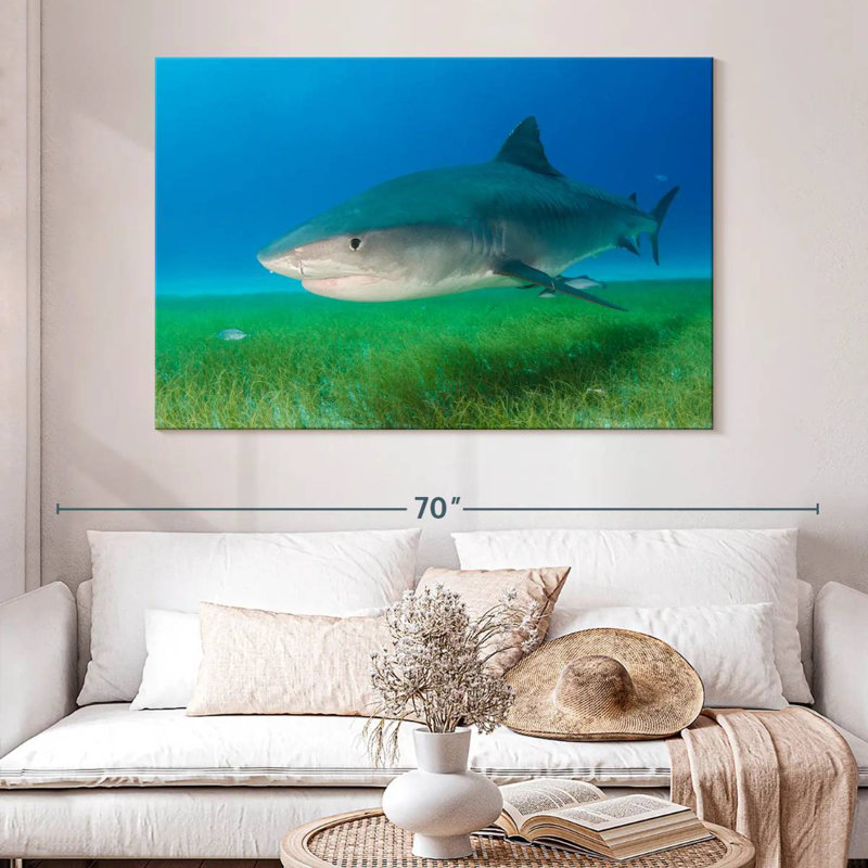 Tiger Shark On Sea Grass, 34" H x 51" W