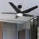 52" 5 - Blade LED Smart Standard Ceiling Fan with  Light