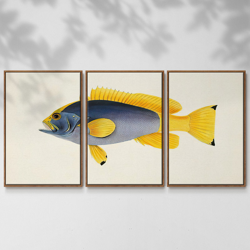 Collection de poissons tropicaux V 3 pièces, H 36 po x l 75 po x P 2 po, Noyer