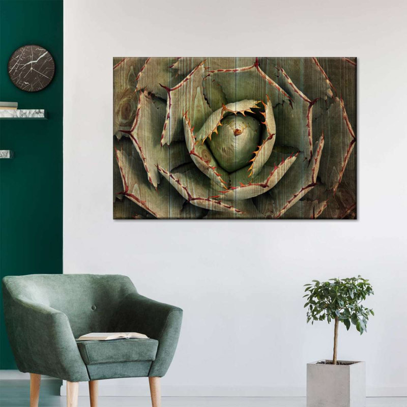 «Wooden Succulents», reproduction sur toile, H 24 po x l 36 po x P 1,25 po