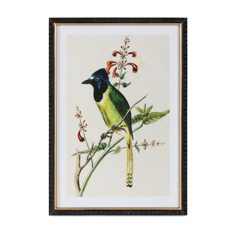 Summer Bird Framed Prints