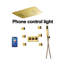 Pluie de plafond thermostatique Arezzo Gold