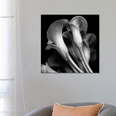 Lillies 1 Piece Wrapped Canvas Wall Art
