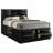 Jazz Black Queen Storage Bed