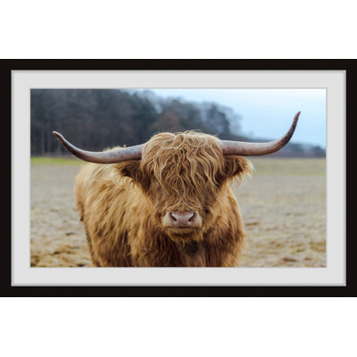 Highland Roamer by Marmont Hill - Painting
