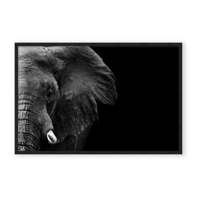 Nature Inspired Elephant by  - Picture Frame Photograph on Paper, 16" H x 24" W x 1.125" D, Brown, Framed Print