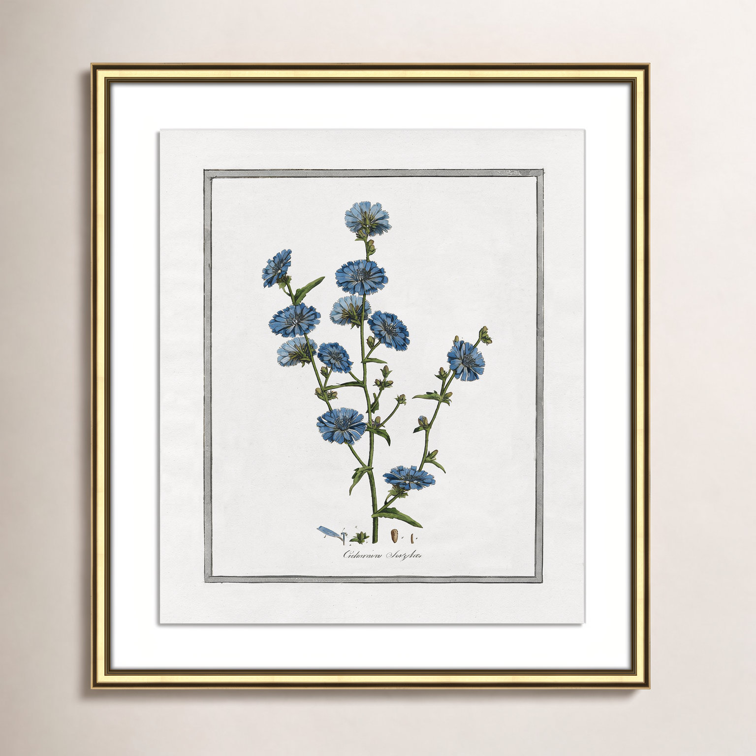 Colombe "Soft Botanical I" Print, Gold Framed, 17.25" W x 20.25" H