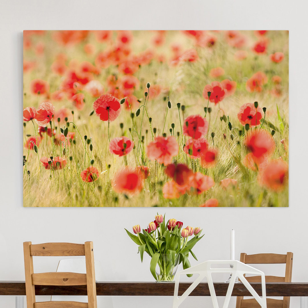 Leinwandbild Summer Poppies