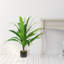 Yardley 36'' Faux Dracaena Plant in Pot
