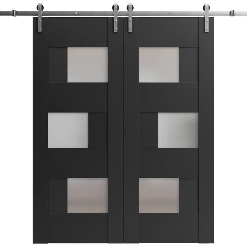 Portes de grange en bois givré Sete, Noir, 60 po x 80 po