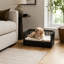 Teamson Polyester Pet Bed