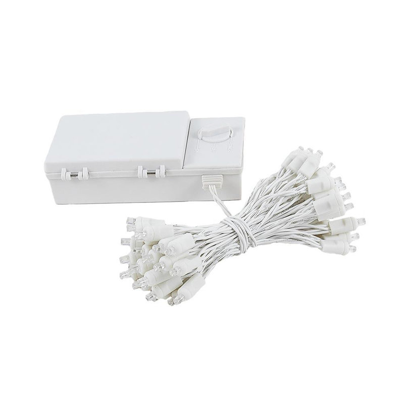 Ashfield Outdoor 50 - Bulb 4'' Battery Powered LED Wide Angle LED String Light, Pure White, White