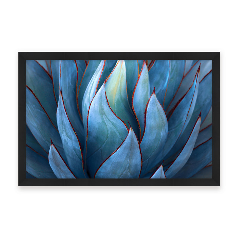 Nature Inspired Blue Agave Abstract by  - Picture Frame Graphic Art on Paper, 16" H x 24" W x 1.125" D, Black