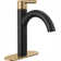 Nicoli Single Hole Bathroom Faucet with Drain Assembly, Single Handle Bathroom Sink Faucet