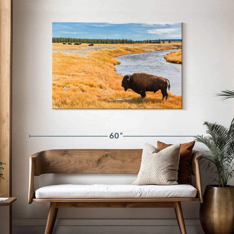 Bison du parc national Brampt, H 30 po x l 45 po