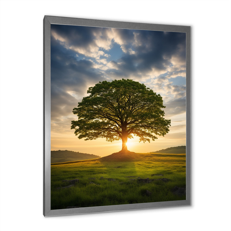 «Summer Solitude Tree Glow» sur toile, H 32 po x l 16 po x P 1 po, Cadre photo argenté