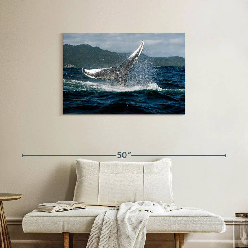 Brampt Samana Humpback Whale