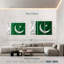 Drapeau pakistanais soyeux-730654496