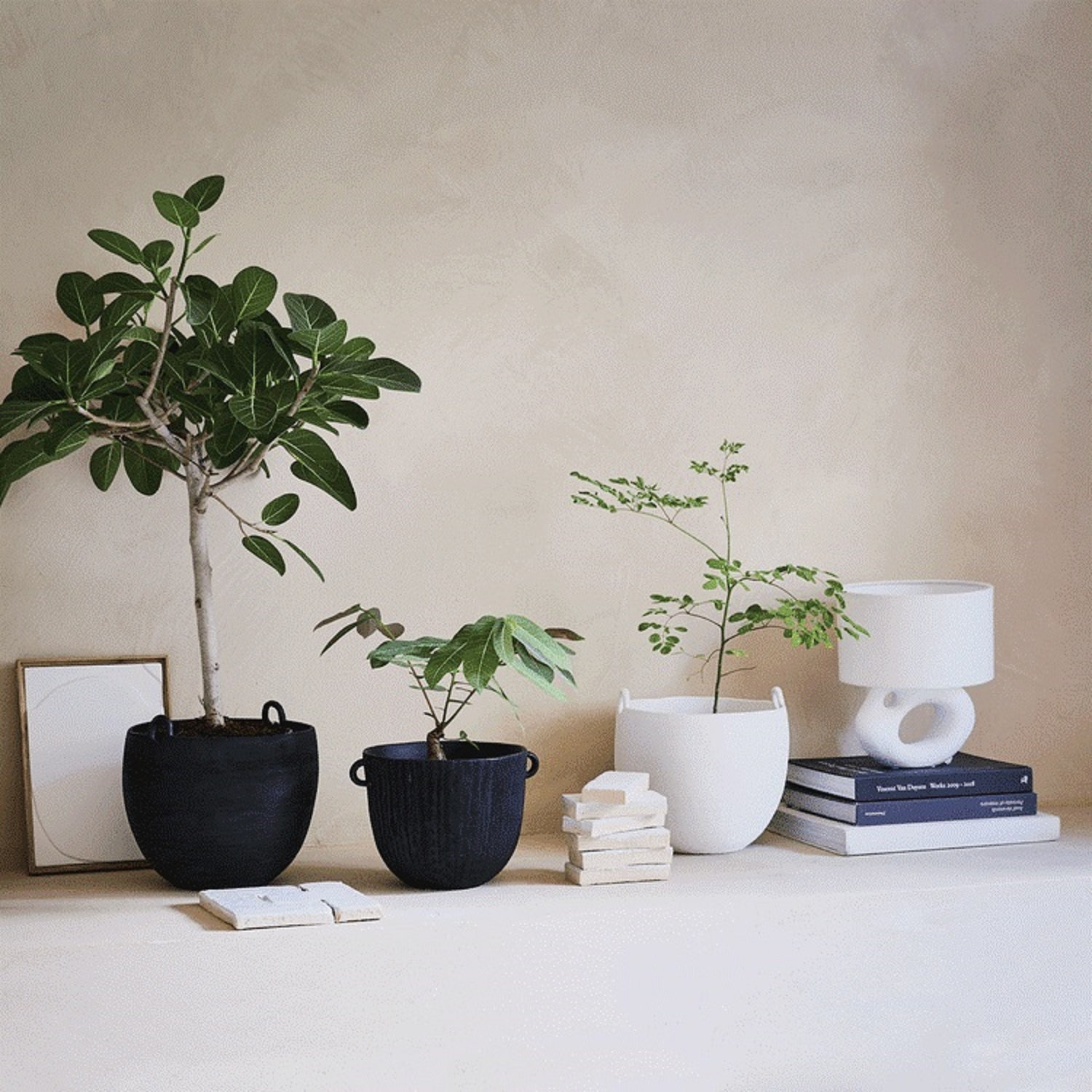 Amberson 10" Pot Planter, White