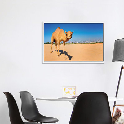 Camel In The Dessert With Dubai Skyline by Susanne Kremer - Floater Frame Gallery-Wrapped Canvas Giclée on Canvas