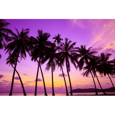 " Tropical Sunset " by Nevodka