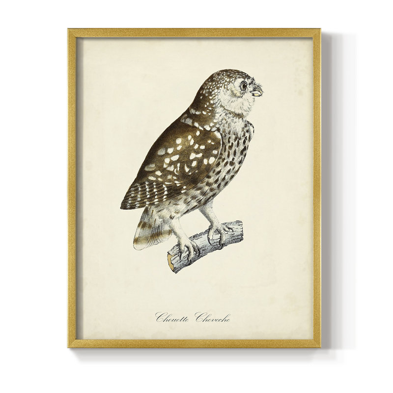 «French Owls I», reproduction encadrée - bois massif, H 10 po x l 8 po