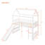 Twin Loft Bed With Slide, Safe And Stable. Modern Bedroom Feature Slide Timeless. Frame For Long Use-487231059