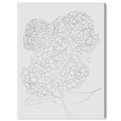 " Hydrangea Garden "