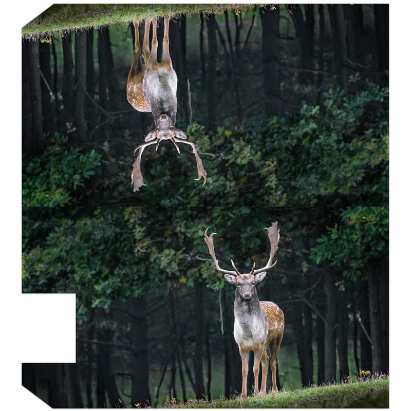 Couvre-boîte aux lettres Deer, H 5 po x l 20 po