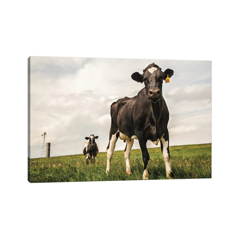 Waiting Colour 1 Piece Wrapped Canvas Wall Art, 66.04 cm H x 45.72 cm W x 3.175 cm D