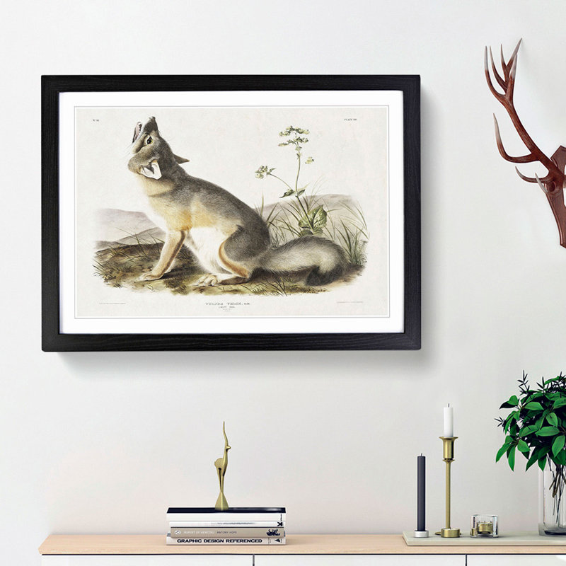 Swift Fox by J.W. Audubon - Picture Frame Art Prints, 27cm H x 36cm W x 2cm D, Black Framed