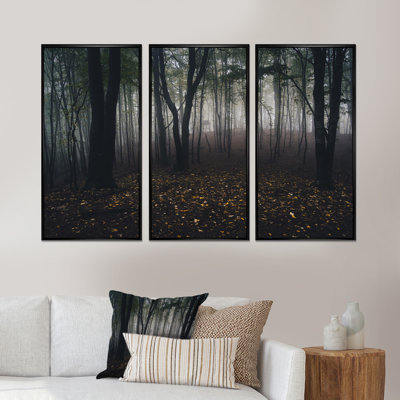 «Dark Spooky Misty Wild Forest», ensemble d'art mural sur toile encadré forêt