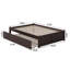 Lit plateforme en bois massif avec pied de lit et lit gigogne Concorde-460099020-460099015